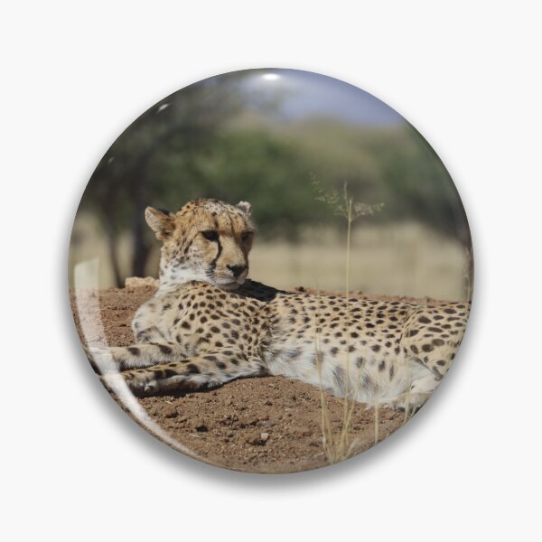 Item preview, Namibia. Cheetah.  designed and sold by vadim19.