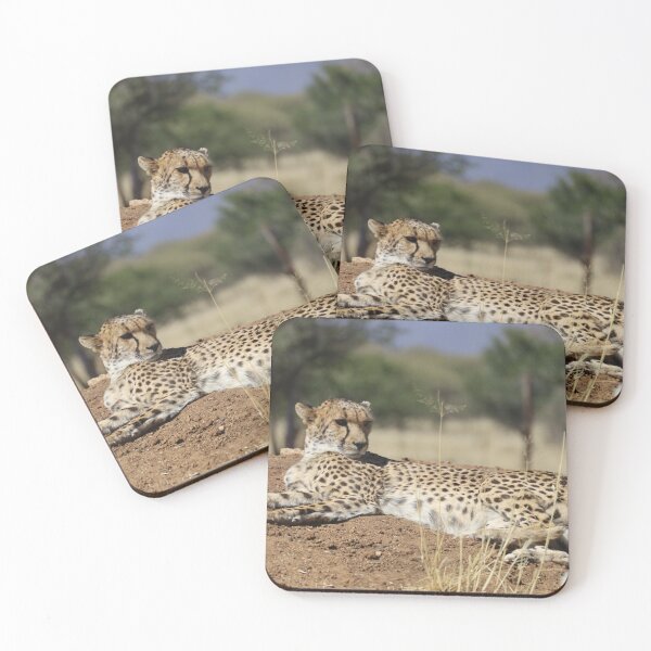 Item preview, Namibia. Cheetah.  designed and sold by vadim19.