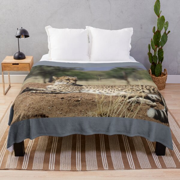 Item preview, Namibia. Cheetah.  designed and sold by vadim19.