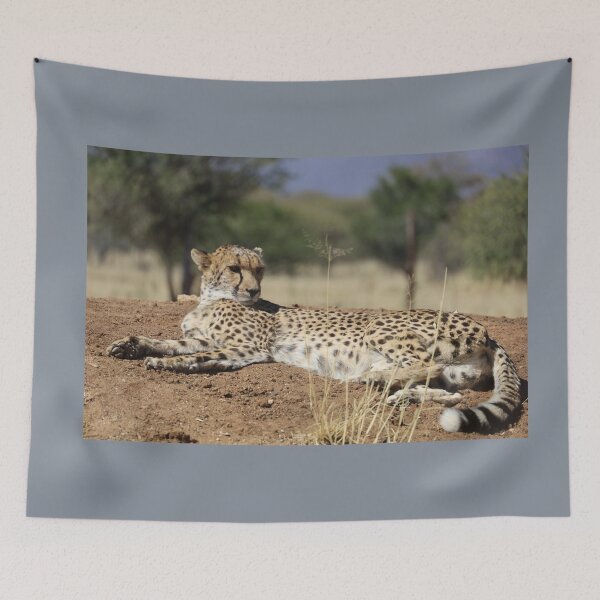 Item preview, Namibia. Cheetah.  designed and sold by vadim19.
