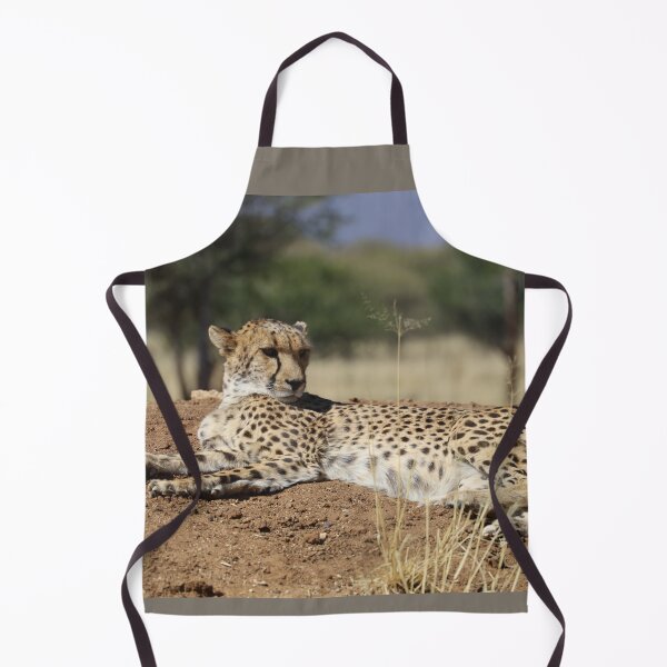 Item preview, Namibia. Cheetah. designed and sold by vadim19.