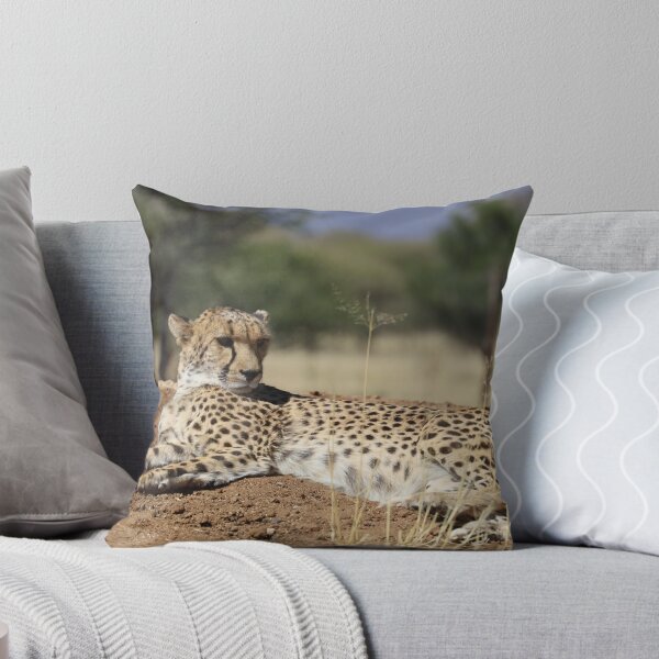 Item preview, Namibia. Cheetah.  designed and sold by vadim19.