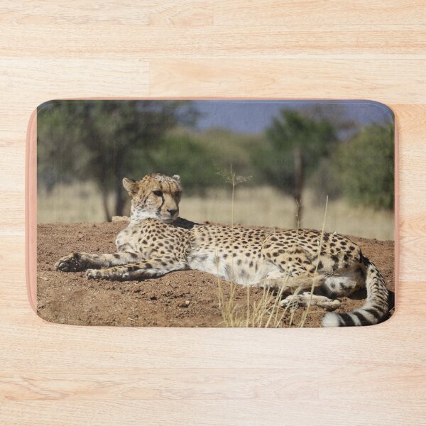 Item preview, Namibia. Cheetah.  designed and sold by vadim19.