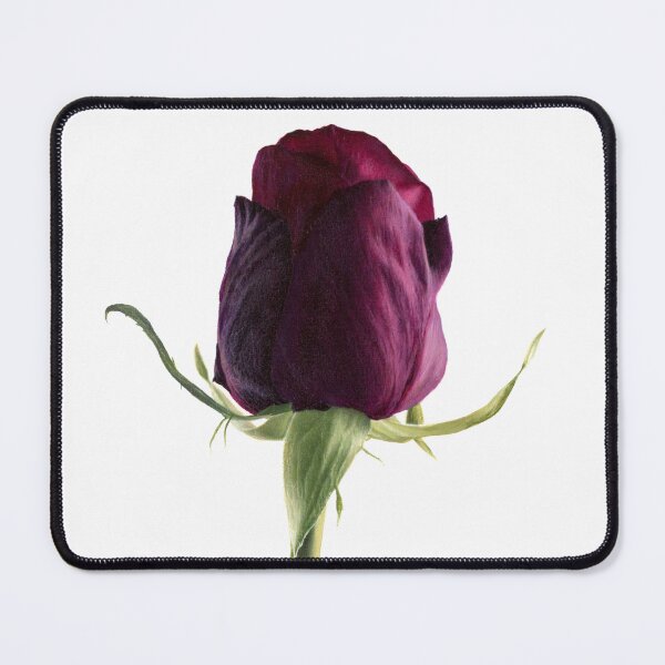 Item preview, Painting of a carmine rose designed and sold by Javier Arizabalo Garcia.