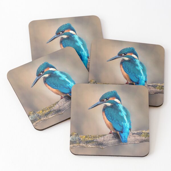 Item preview, Kingfisher designed and sold by Tom McPherson Photography.