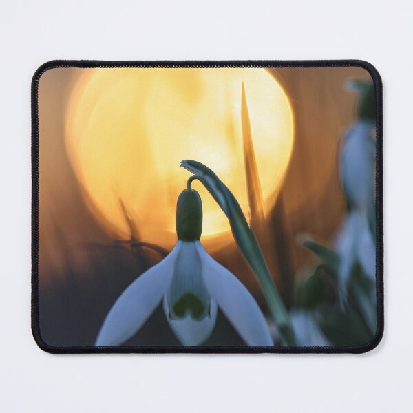Item preview, Snowdrops with sunrise designed and sold by Pietschi2022.