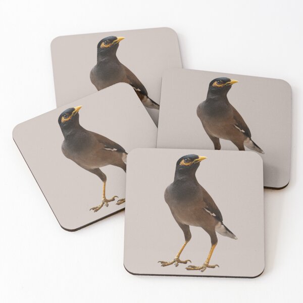 Item preview, Lovely Myna Bird designed and sold by RainbowSpinkle.