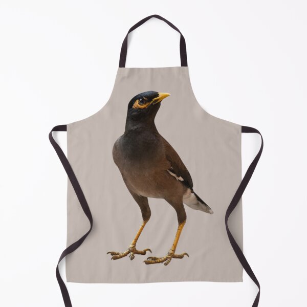 Item preview, Lovely Myna Bird designed and sold by RainbowSpinkle.
