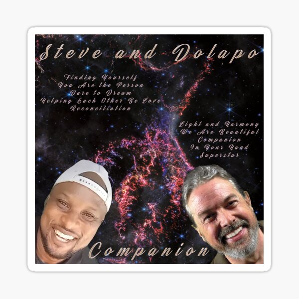 Steve and Dolapo - Companion - Vinyl Album Cover Sticker
