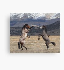 Standing Tall Canvas Print