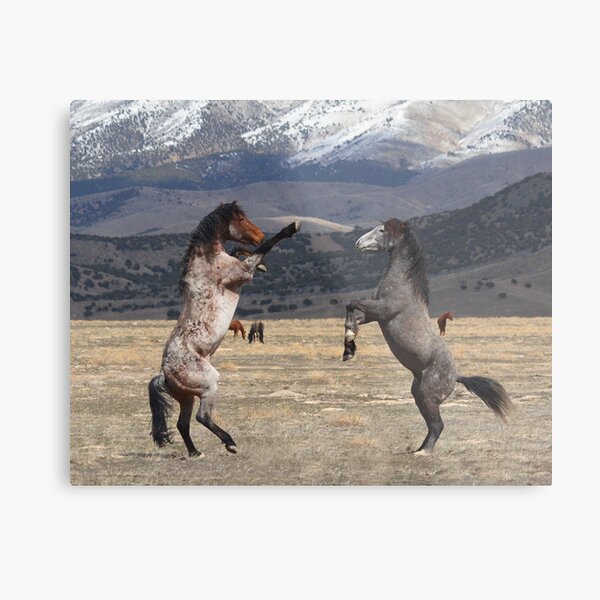 Standing Tall Metal Print