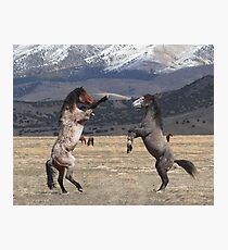 Standing Tall Photographic Print
