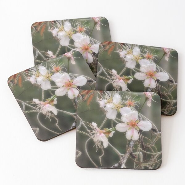 Item preview, Cherry Blossom designed and sold by Alla Gill.