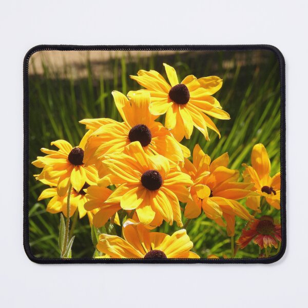 Item preview, Black-Eyed Susan Flowers designed and sold by Claire L Page Photography.