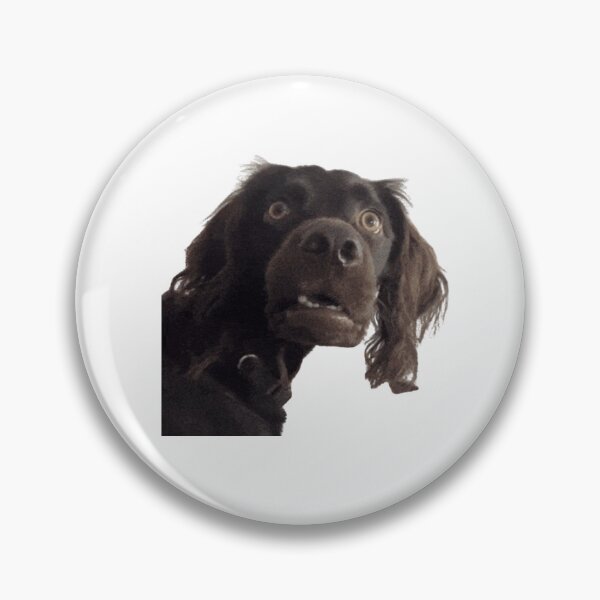 Item preview, Confused Dog Meme | Surprised Dog Meme designed and sold by IcePools.