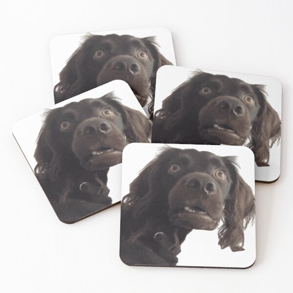 Item preview, Confused Dog Meme | Surprised Dog Meme designed and sold by IcePools.