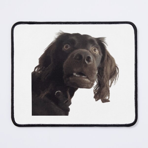Item preview, Confused Dog Meme | Surprised Dog Meme designed and sold by IcePools.