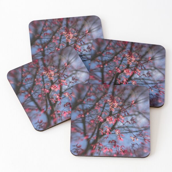 Item preview, Pink Maple In Sunlight designed and sold by Helen K. Passey.