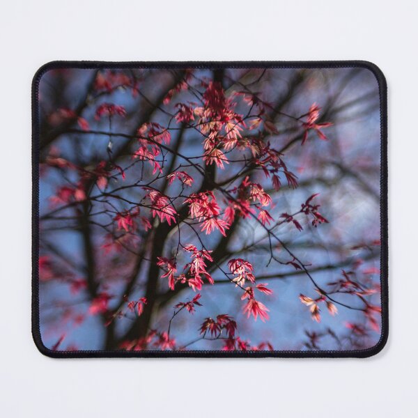 Item preview, Pink Maple In Sunlight designed and sold by Helen K. Passey.
