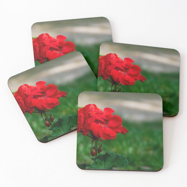 Item preview, Vibrant Red Flower in a Field designed and sold by jrtwynam.