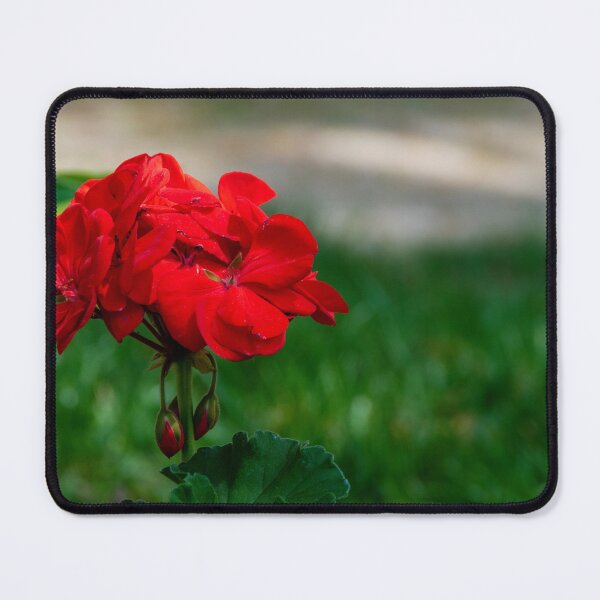 Item preview, Vibrant Red Flower in a Field designed and sold by jrtwynam.