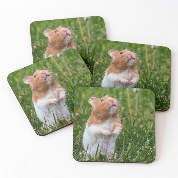 Item preview, Hamster Standing in Grass Looking Up designed and sold by jrtwynam.
