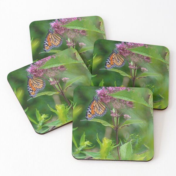 Item preview, Monarch Butterfly Upside Down on a Flower designed and sold by jrtwynam.