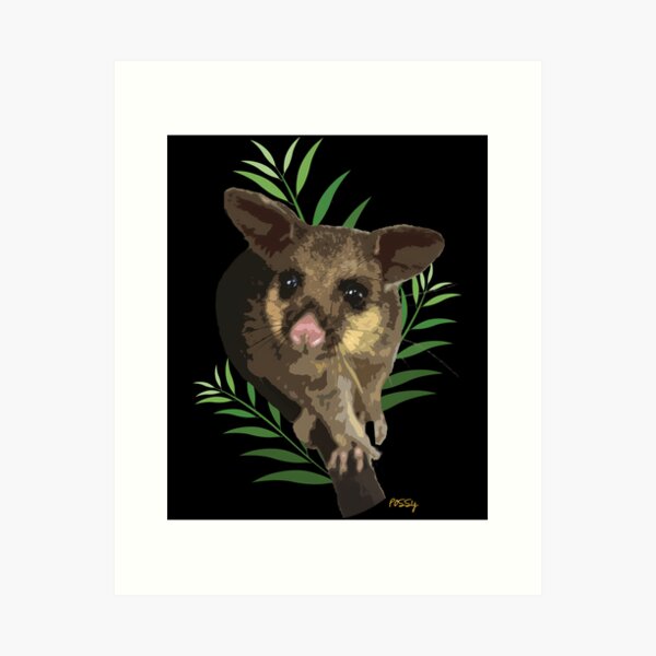 Item preview, 9 Brushtail Possum designed and sold by KeshaRainey.