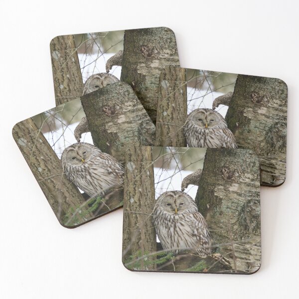 Item preview, Black eyed beauty. Ural owl designed and sold by Jouko Lehto Photography.