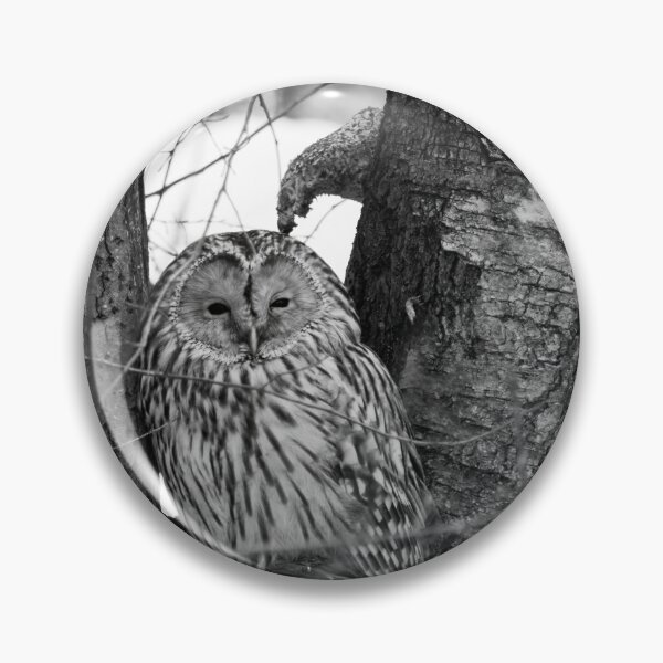Item preview, Black eyed beauty. Ural owl bw designed and sold by Jouko Lehto Photography.