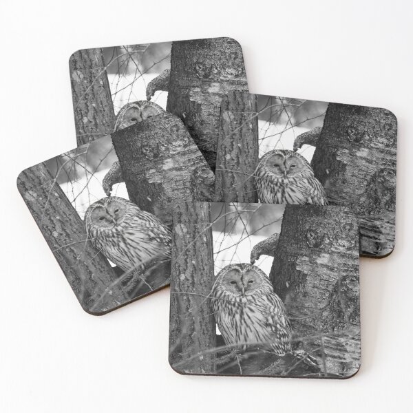 Item preview, Black eyed beauty. Ural owl bw designed and sold by Jouko Lehto Photography.