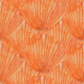 Artwork thumbnail, Shells shells shells by SCdesignqld
