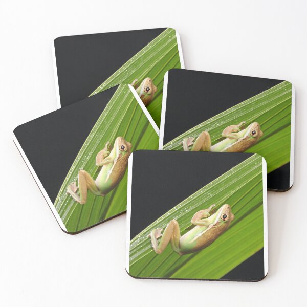 Item preview, Frog's sunbath designed and sold by Singerevita.