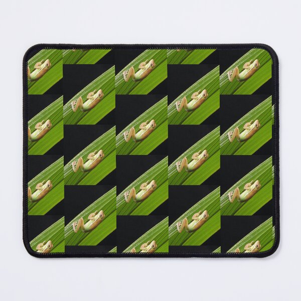 Item preview, Frog's sunbath designed and sold by Singerevita.