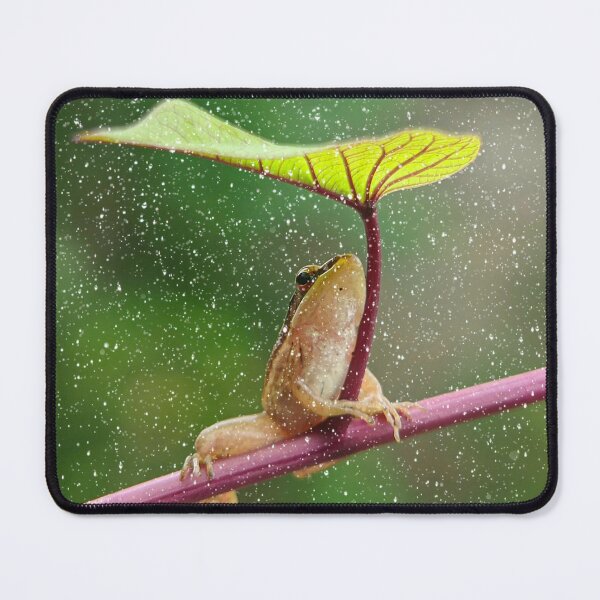 Item preview, Frog in the rain  designed and sold by Singerevita.