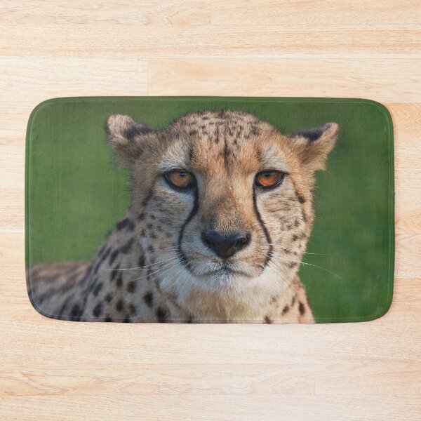 Item preview, Gaze of the Cheetah designed and sold by rawshutterbug.