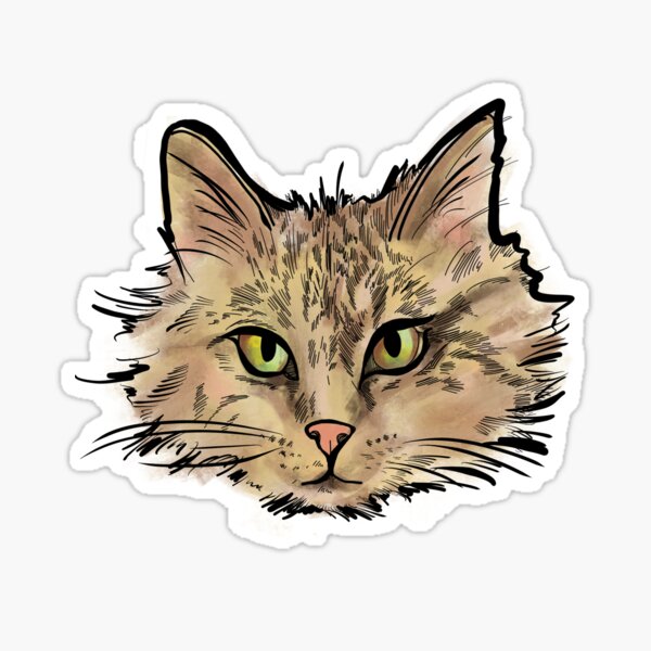Maine Coon Tabby Sticker