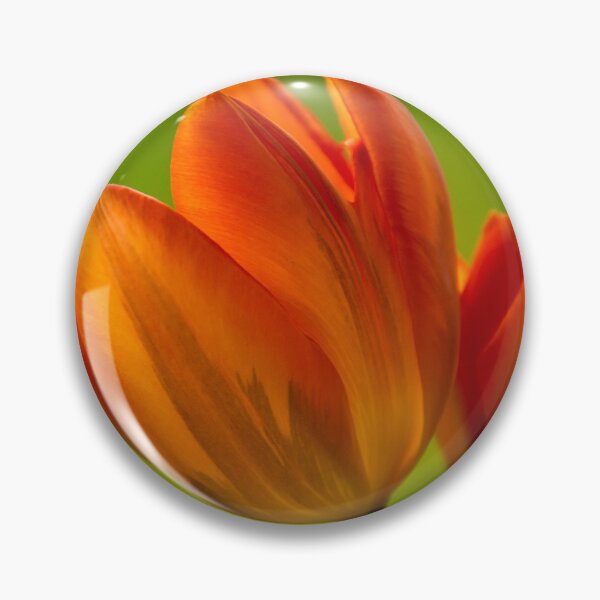 Artikelvorschau, Tulpen II entworfen und verkauft von Erwin G. Kotzab.