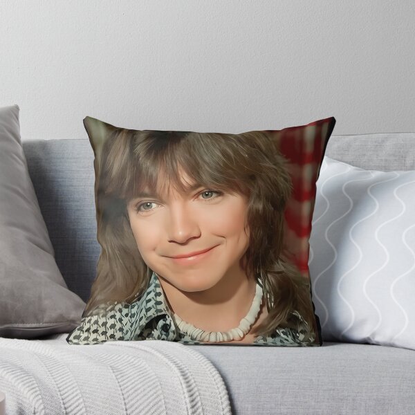 Item preview, David Cassidy Handsome designed and sold by JessicaZulliger.
