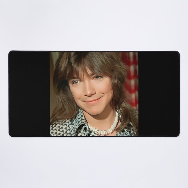 Item preview, David Cassidy Handsome designed and sold by JessicaZulliger.