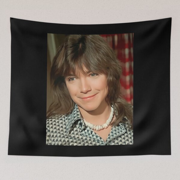 Item preview, David Cassidy Handsome designed and sold by JessicaZulliger.