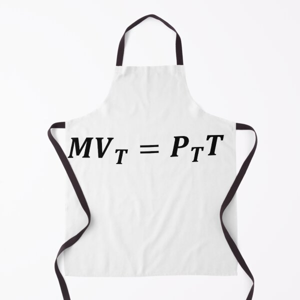 Item preview, equation of exchange, monetary economics designed and sold by NoetherSym.