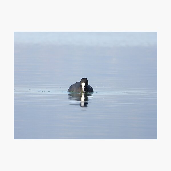 Item preview, Minimalist bird photo designed and sold by Juviraga.