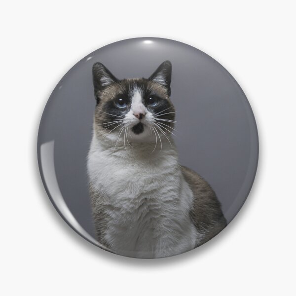 Aperçu de l'œuvre adorable chat tigré créée et vendue par minstudio.