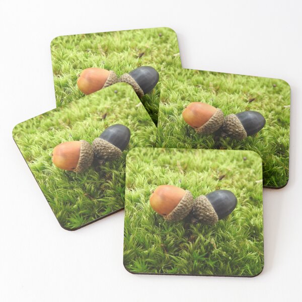 Item preview, Acorns in moss designed and sold by Juviraga.
