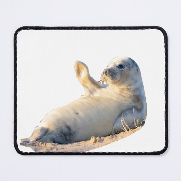 Item preview, a cute baby seal waving designed and sold by bubblepop_art.