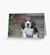 Shango puppy Greeting Card