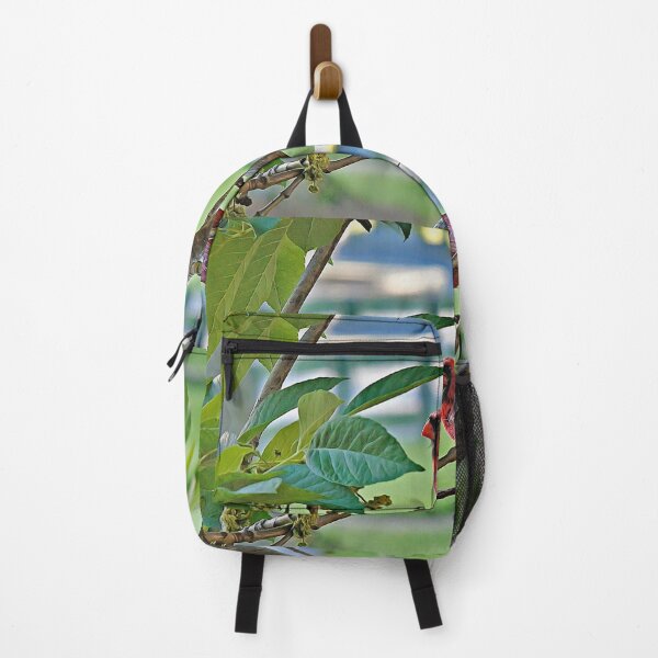Item preview, "Bird Stalking #1" designed and sold by MoonGPhotos.