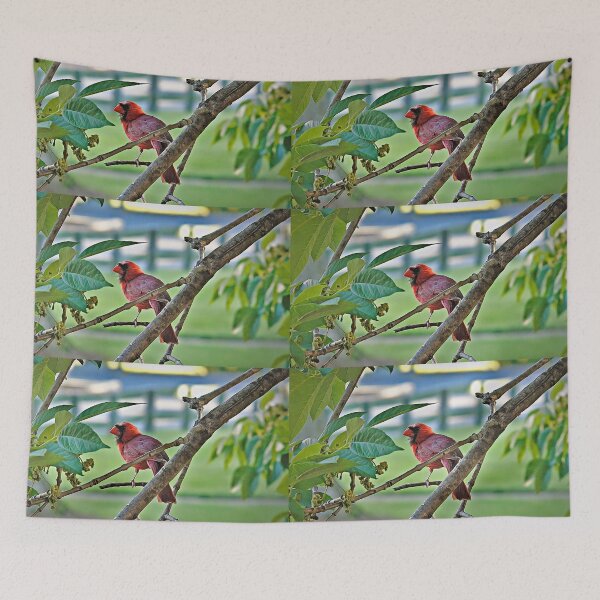 Item preview, "Bird Stalking #1" designed and sold by MoonGPhotos.
