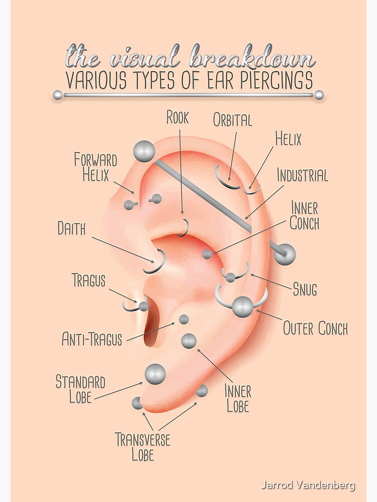 Ear Piercing Chart Infographic | Poster